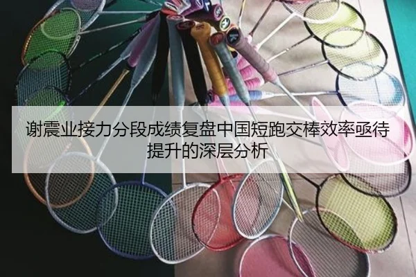 谢震业接力分段成绩复盘中国短跑交棒效率亟待提升的深层分析