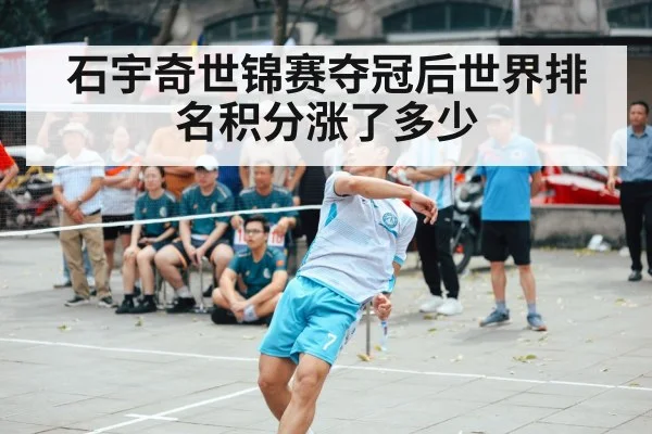men's singles badminton match