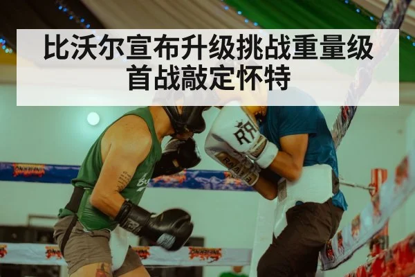 比沃尔宣布升级挑战重量级 首战敲定怀特
